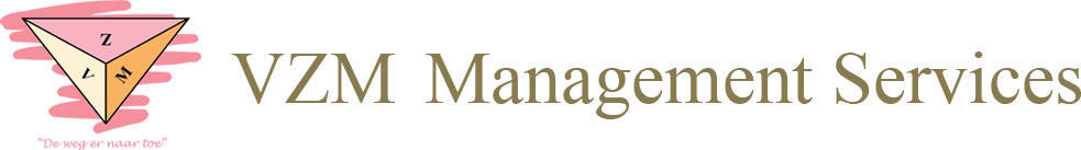 VZM Management Services